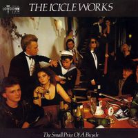 The Icicle Works - The Small Price Of A Bicycle