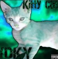 ID KY - Kitty Cat 1.5