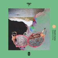 Takeshi's Cashew - Humans In A Pool