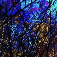 Merzbow - 雀色1