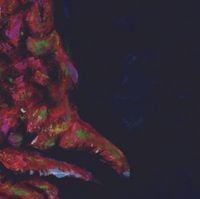 Merzbow - Black Rome