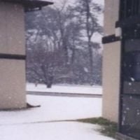 RINGEX PLASTER - 24​.​2: ah, here comes the rivalry. (something clear)