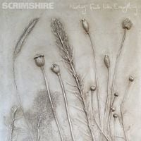 Scrimshire - Nothing Feels Like Everything