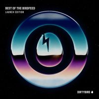Various Artists - Best of the Birdfeed: Launch Edition