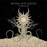 Echoes And Signals - Mercurial
