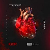 IGOR - Wild At Heart