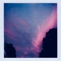 Sinerider - February