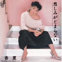 杏里 [Anri] - 悲しみがとまらない