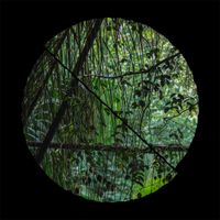 Llyr - Biome