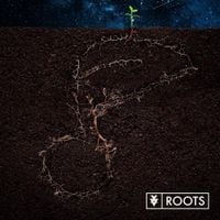XV - Roots