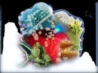 Aiden Marceron - forms of formed plasticsix6 (frequency)