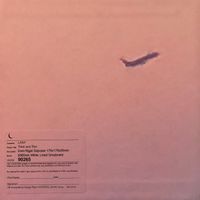 LANY - Thick And Thin