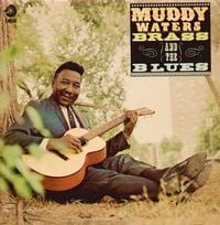 Muddy Waters - Muddy, Brass & the Blues