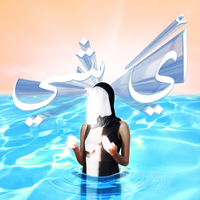 Fatima Al Qadiri - WARN-U