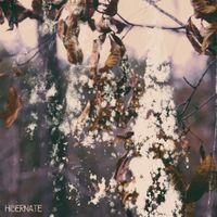 Drkmnd - Hibernate