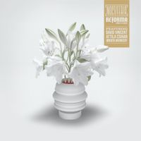 Noctiferia - Reforma