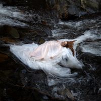 elsas - The Art of the Concrete