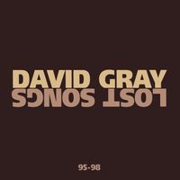 David Gray - Lost Songs 95-98