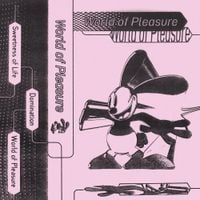 World of Pleasure - World of Pleasure