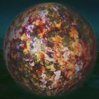 Fake Turins - Time Flowers Now