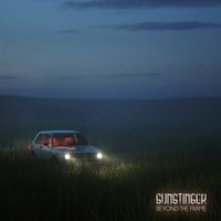 Sunstinger - Beyond The Frame