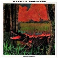 The Neville Brothers - Fiyo on the Bayou