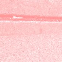 Pinkcourtesyphone & Gwyneth Wentink - When She Had No Mirror... She Watched Her Shadow
