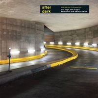 Alan Vega, Ben Vaughn, Barb Dwyer & Palmyra Delran - After Dark