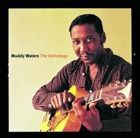 Muddy Waters - The Anthology