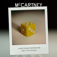 Paul McCartney - Long Tailed Winter Bird (Idris Elba Remix)