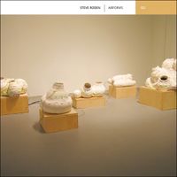 Steve Roden - Airforms