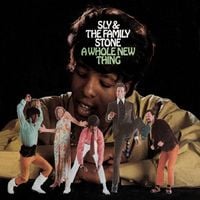 Sly & the Family Stone - A Whole New Thing