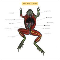 The Verve Pipe - The Verve Pipe