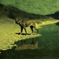 Henry Saiz - Reality Is For Those Who Are Not Strong Enough To Confront Their Dreams