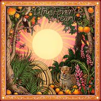 Emancipator & Cloudchord - Citrus Fever Dream