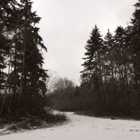 Lauge, Perry Frank - Selvascapes