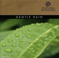 David Arkenstone - Gentle Rain