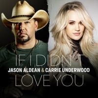 Jason Aldean - If I Didn't Love You