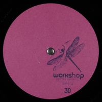 Willow - Workshop 30