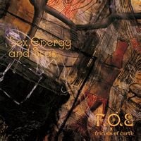 Friends of Earth - Sex, Energy and Star