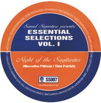 Theo Parrish & Marsellus Pittman - Essential Selections, Vol. 1
