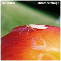 Sun Starer - Summer of Bugs