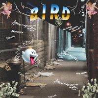 Cecilio G. - BIRD