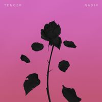 TENDER - Nadir