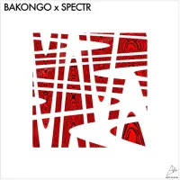 Bakongo X Spectr - Close Call
