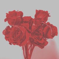 Bizer - lost fidelity