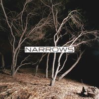 Narrows - Narrows