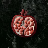 Whilk & Misky - Soheyloo