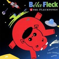 Béla Fleck & the Flecktones - Flight of the Cosmic Hippo