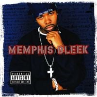 Memphis Bleek - The Understanding